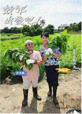声音的褶皱综艺海报